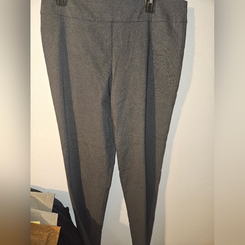Krazy Larry Womans Elastic Waist Gray Pants Size 16